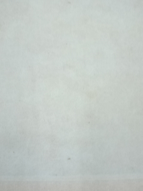 道具 ] - 道具 高井一鳳筆 彩色山水 肉筆絹本掛軸 | ネットショップ圭